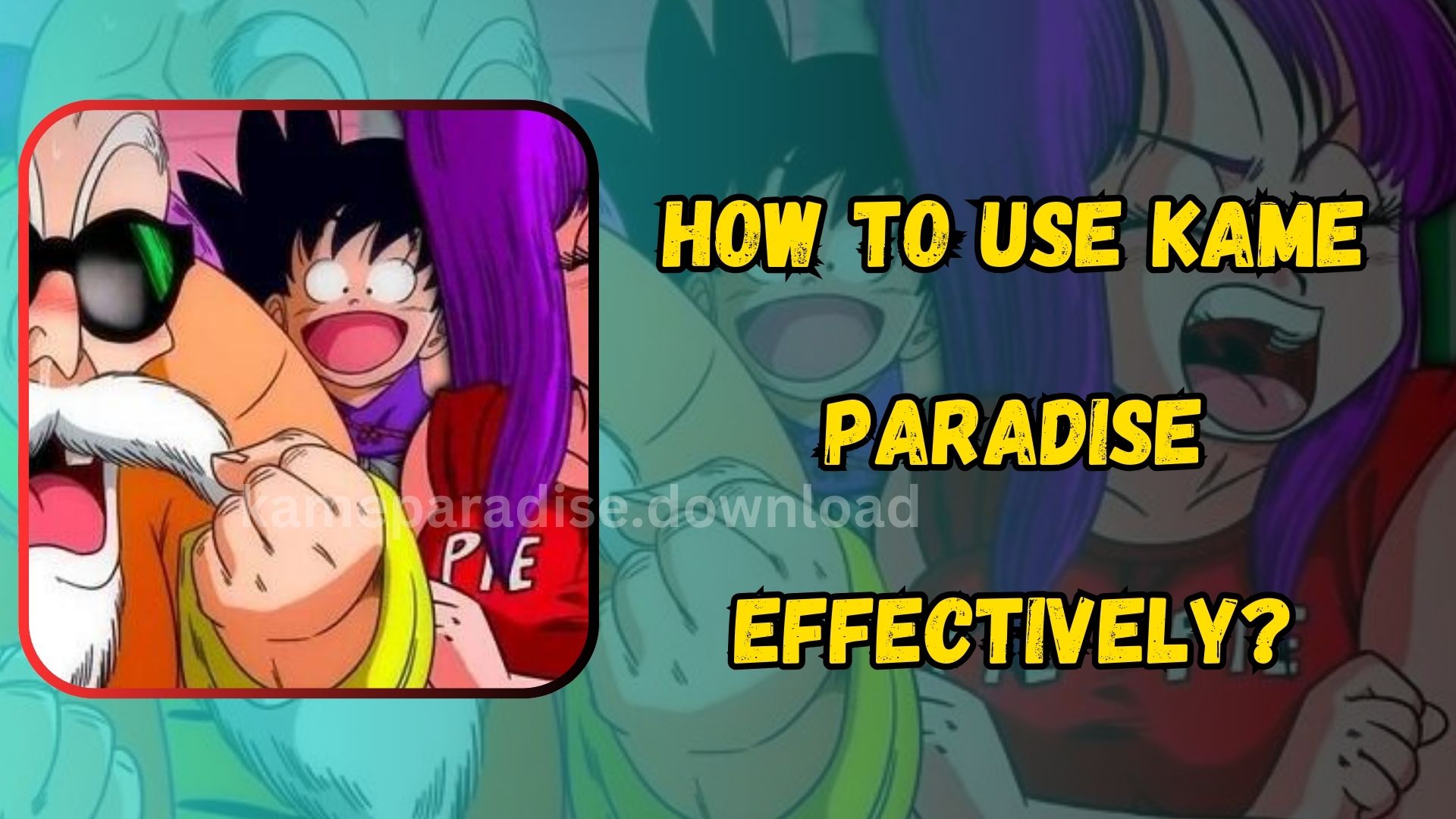 use Kame Paradise effectively